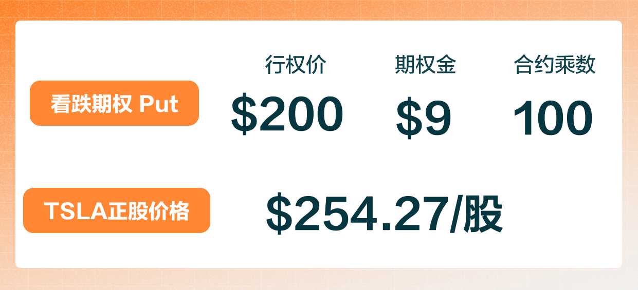 Long Put 买入看跌期权 -4