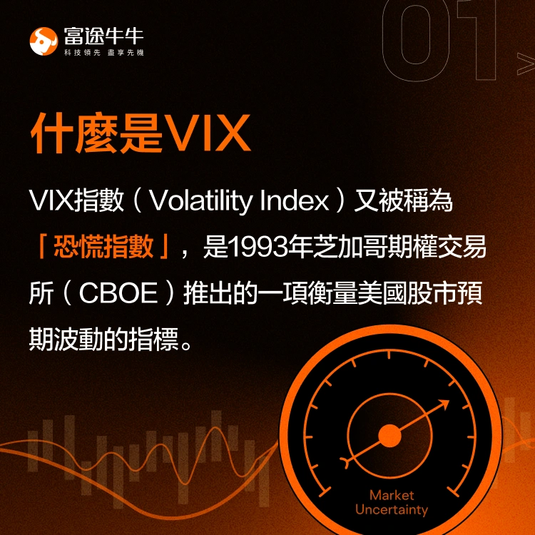 「恐慌指数」VIX是什么？如何在大跌时交易？ -2