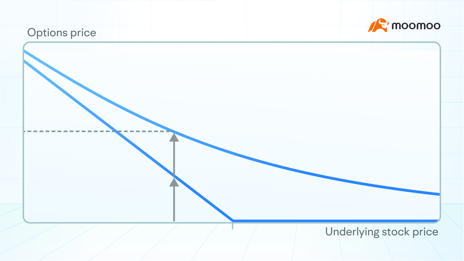 Bonus Insight: What are the mysteries behind the fluctuations in option prices? -12