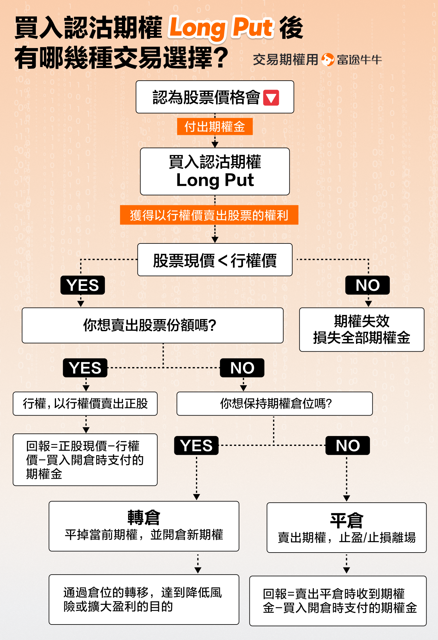 Long Put 買入認沽期權 -14