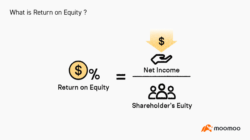 What is Return on Equity (ROE)? -1
